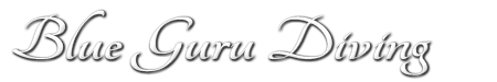 Blue Guru Diving