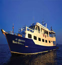 scuba diving liveaboard